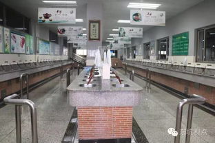 文化經紀促活力，文明創建譜新篇——大東坑的文化服務實踐