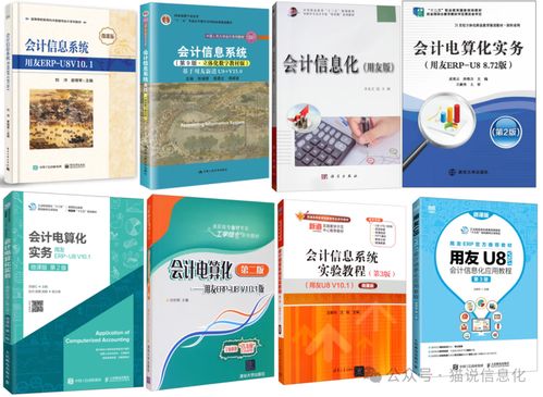 從專業書籍視角，洞察國內外ERP軟件廠商的生態差異與互聯網銷售影響